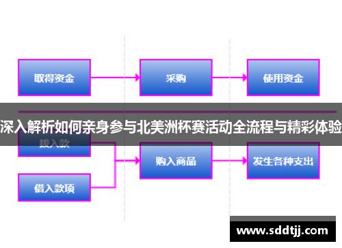 深入解析如何亲身参与北美洲杯赛活动全流程与精彩体验