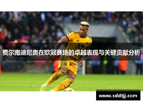 费尔南迪尼奥在欧冠赛场的卓越表现与关键贡献分析